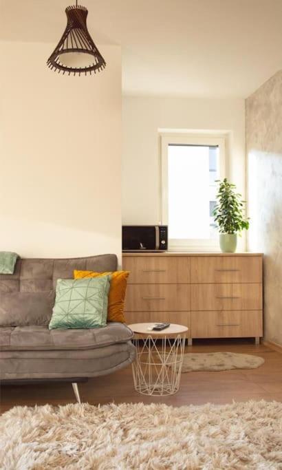 5 Dream Apartment 5 Cu Parcare Privata Gran Varadino Esterno foto